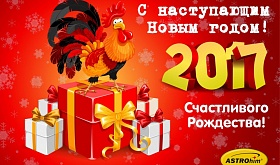 С наступающим Новым годом!