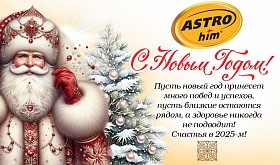 С наступающим Новым 2025 Годом!